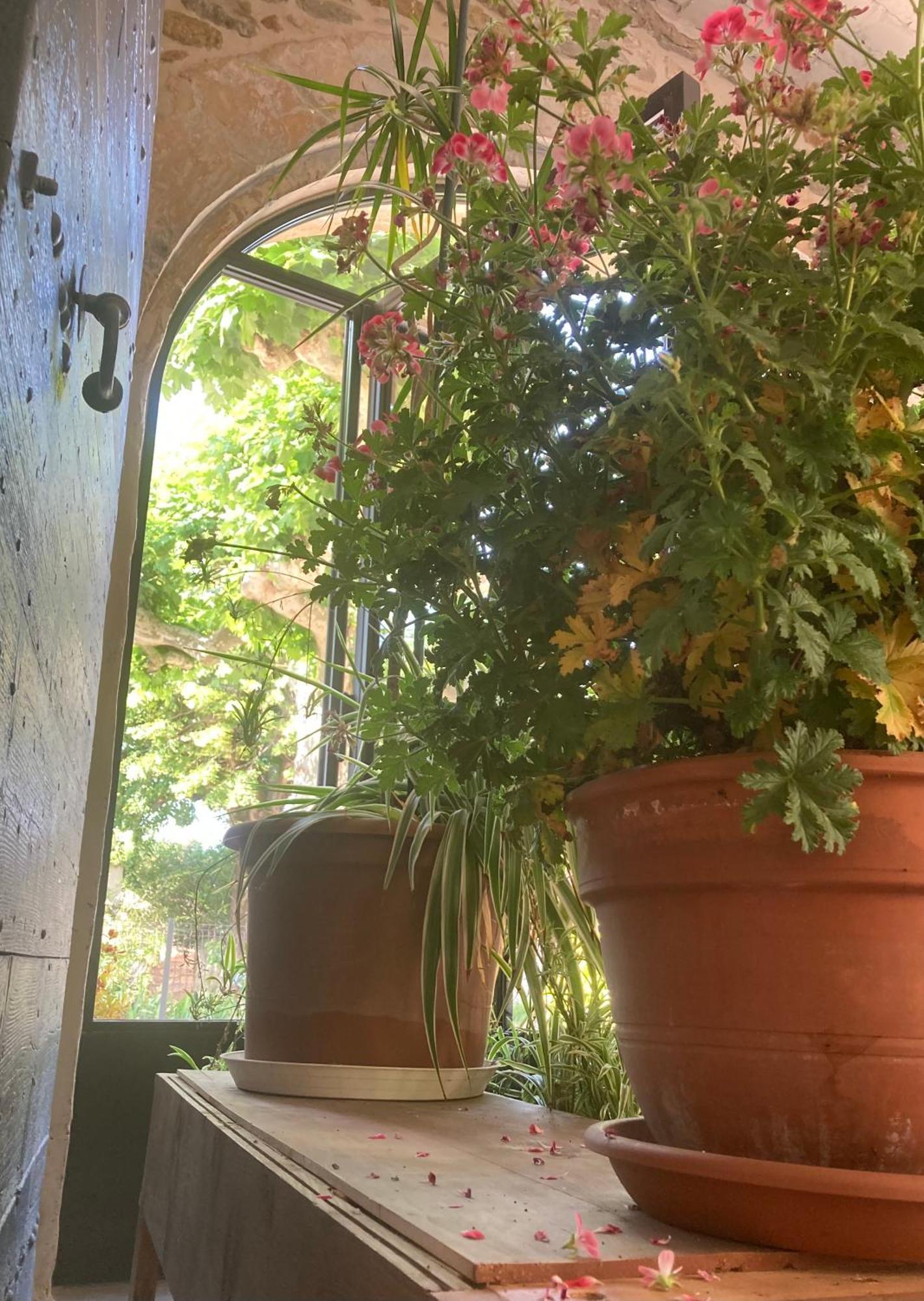 Domaine Forvent Bed and Breakfast Saint-Julien-de-Peyrolas Εξωτερικό φωτογραφία