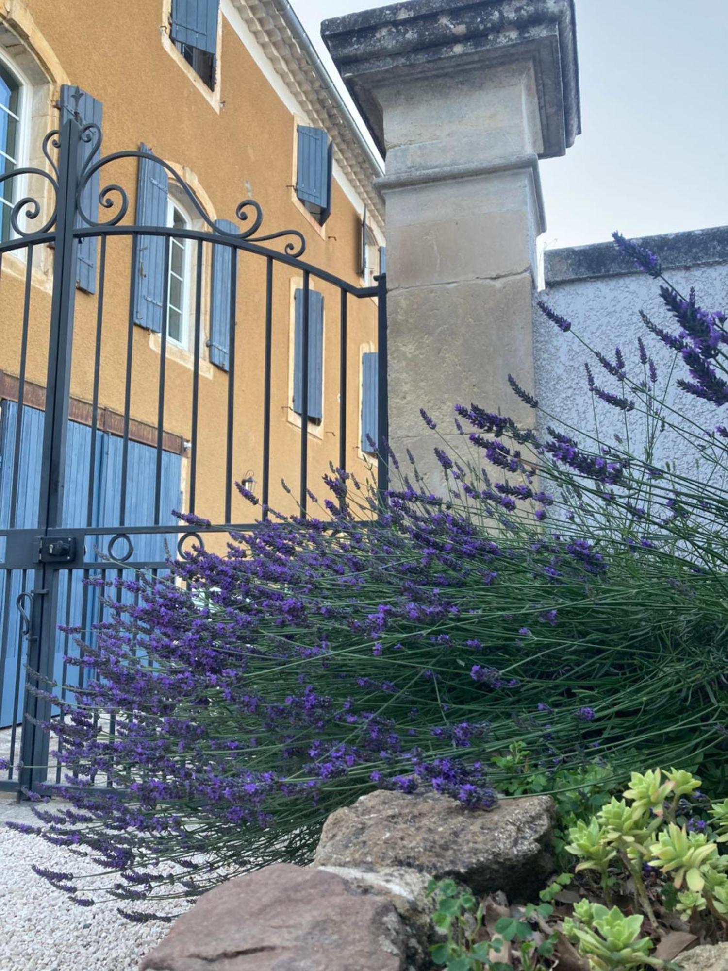 Domaine Forvent Bed and Breakfast Saint-Julien-de-Peyrolas Εξωτερικό φωτογραφία