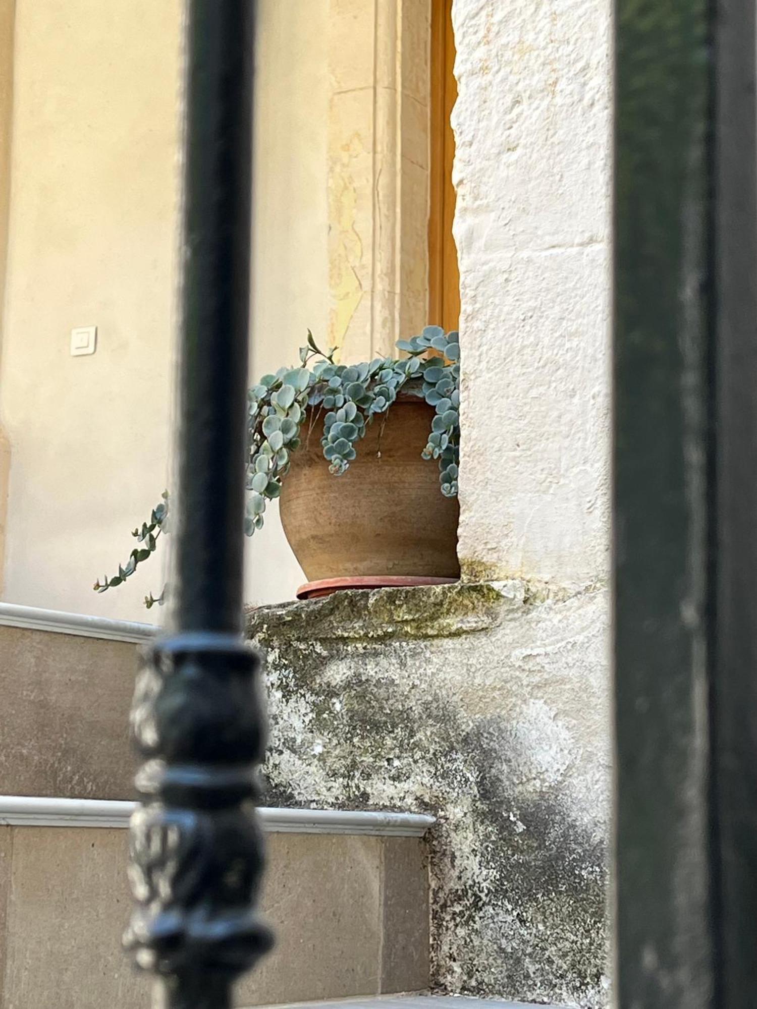 Domaine Forvent Bed and Breakfast Saint-Julien-de-Peyrolas Εξωτερικό φωτογραφία