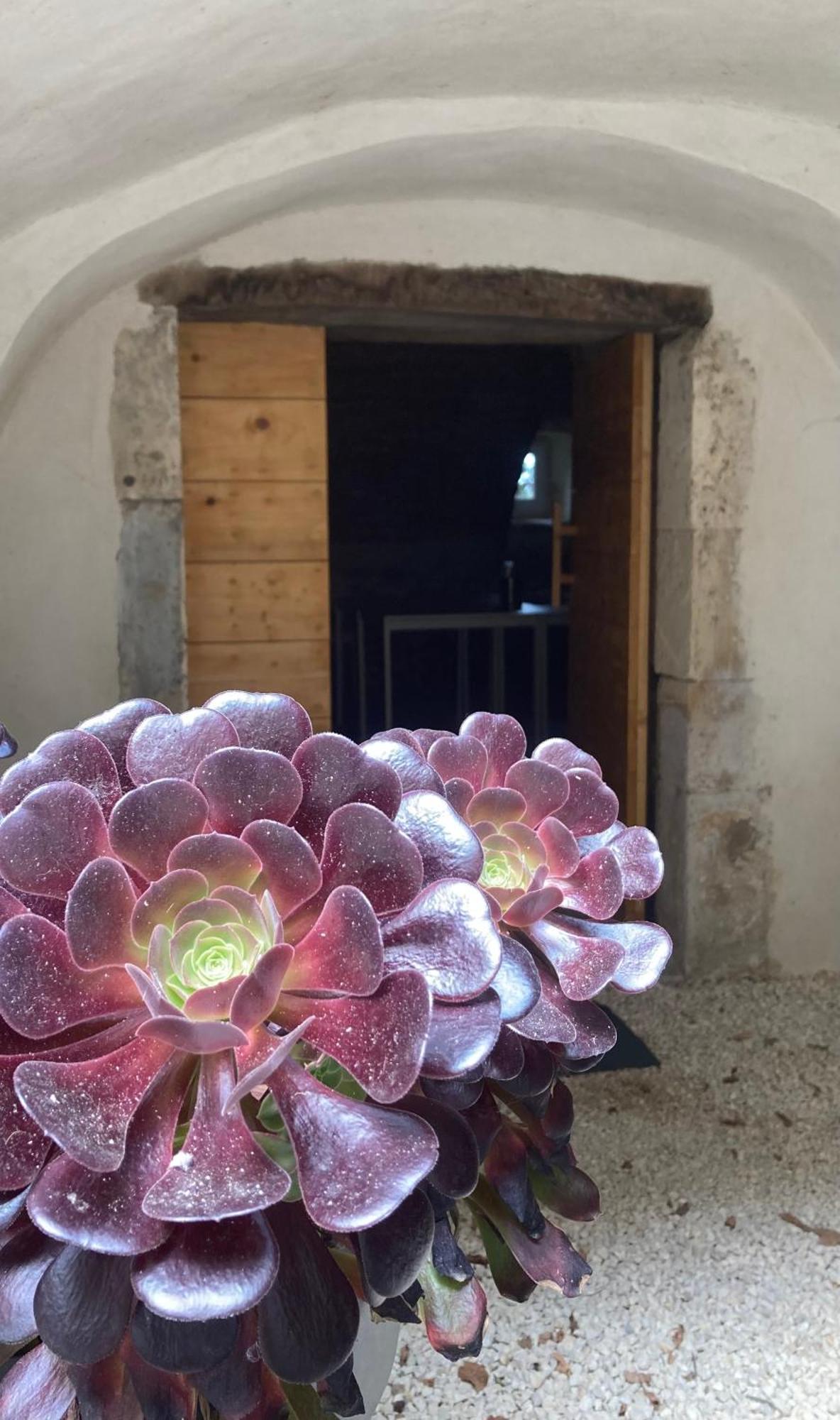 Domaine Forvent Bed and Breakfast Saint-Julien-de-Peyrolas Εξωτερικό φωτογραφία